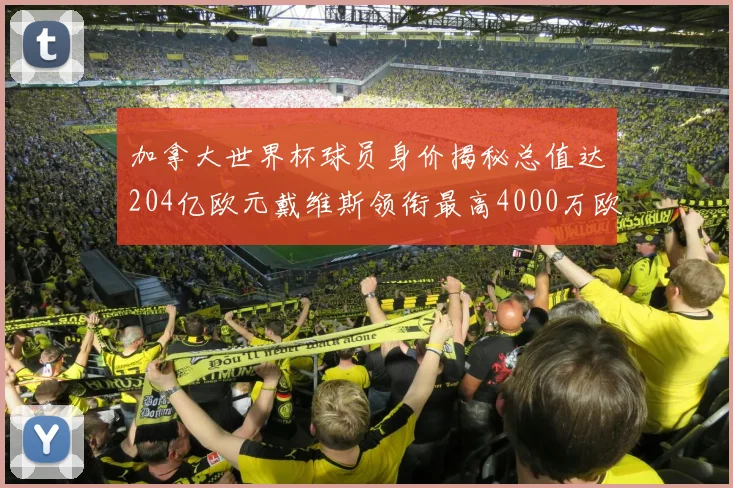 加拿大世界杯球员身价揭秘总值达204亿欧元戴维斯领衔最高4000万欧